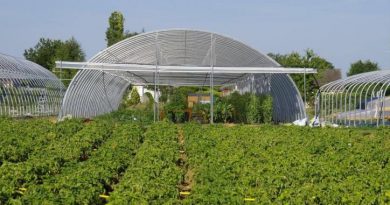 Vente de légumes et de fruits rouges à la ferme des Plaines Vente de légumes et de fruits rouges à la ferme des Plaines